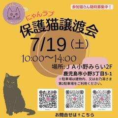 にゃんラブ譲渡会7/19