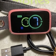 無駄吠え防止首輪の画像