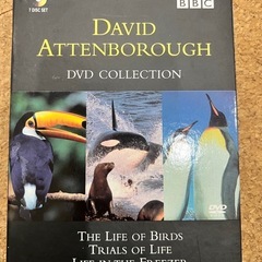 BBC生き物　DVD７枚セット