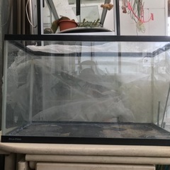 アクリル製水槽　60cm と45cm