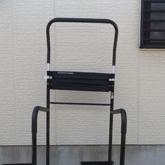 ぶらさがり機+トランポリン　　アルインコ バランスウォーク EX8017の画像