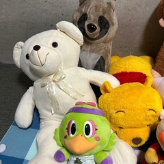 色んなぬいぐるみの画像