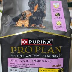 ドッグフード2kgの画像