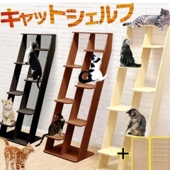 キャットタワー