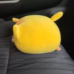 もちふわころころにゃんこの画像
