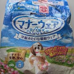 マナーウェア　Mサイズ