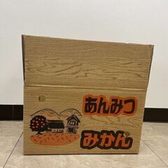 ダンボール　段ボール　みかん8kg箱10枚セット　100枚以上の購入も可の画像