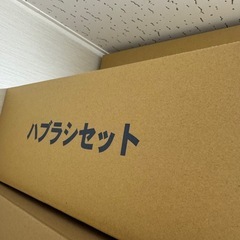 アメニティ　使い捨てハブラシ　250本　新品未使用品の画像