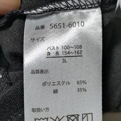 72~レディースTシャツの画像