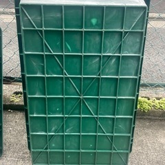 【決定しました】小＆特大2個セット！メダカ   　金魚　らんちゅう　飼育＆繁殖用にの画像