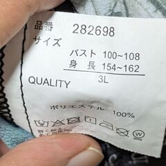 73~３Lブラウスの画像