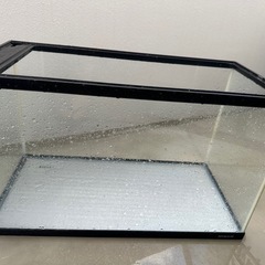 NISSO 60×30 水槽