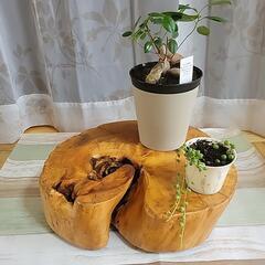生け花の土台　竹花器