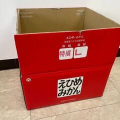 ダンボール　段ボール　みかん10kg箱10枚セット　100枚以上の購入も可の画像