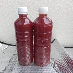 PSB 500ml ＆ エビオス錠 ＆ 説明書