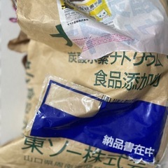 炭酸水素ナトリウム
