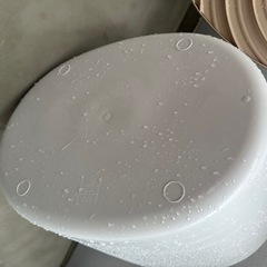 上から猫トイレ 大の画像