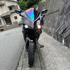 カワサキニンジャ250R不具合有り