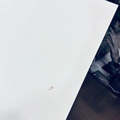 イケア　IKEA LINNMON リンモン / ADILS オディリスの画像