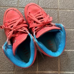 【24cm】スニーカーの画像