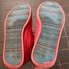 【24cm】スニーカーの画像