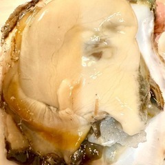 天草産天領岩牡蠣の刺身　期間限定で販売【阿蘇　果実の国カッ…