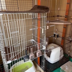 キャットタワー　ケージ3個　まとめての画像