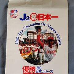 80年J2優勝記念乗車券の画像