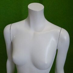 婦人腕付きトルソー リアルボディ レディース ９号サイズ（キズ有り）■F-532の画像
