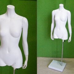 婦人腕付きトルソー リアルボディ レディース ９号サイズ（キズ有...