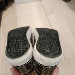 Champion　スニーカー　１８センチの画像