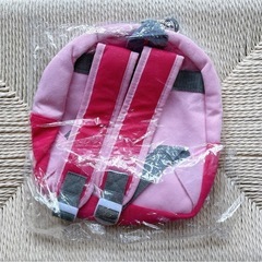 【引取先決まりました】新品未使用☆ベビーパークリュックの画像