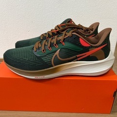 定番の中古商品 ナイキ(NIKE)ランニングシューズペガサス (じょ HOLA A.I.R. 39 ウォーキング・ランニングウェア