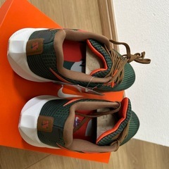 ナイキ(NIKE)ランニングシューズペガサス 39 A.I.R. HOLA (じょ
