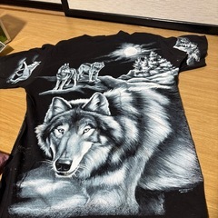 メンズTシャツお譲りします。29日締め切り