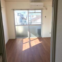 🌟敷礼無料！猫と暮らせるリーズナブルな1K
明るい角部屋が…