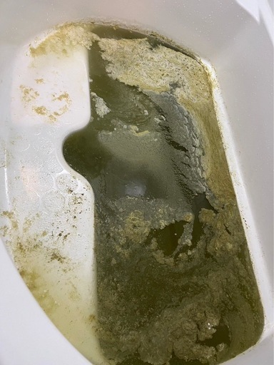 追い焚き配管 洗浄　今大人気‼️