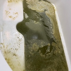 追い焚き配管 洗浄　今大人気‼️の画像