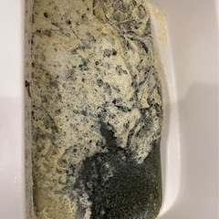 追い焚き配管 洗浄　今大人気‼️の画像