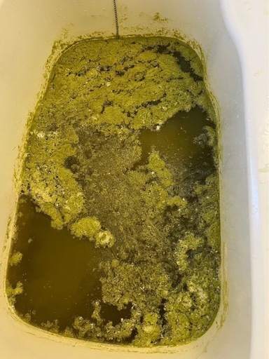 追い焚き配管 洗浄　今大人気‼️