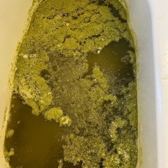 追い焚き配管 洗浄　今大人気‼️の画像