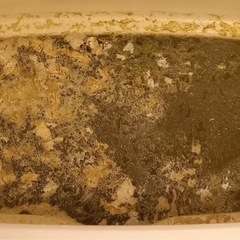 追い焚き配管 洗浄　今大人気‼️の画像