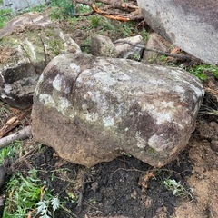 庭石の画像
