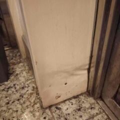 シロアリの対処。