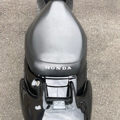 HONDA Live Dio ZX の画像