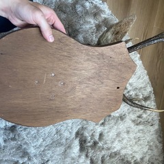 鹿の剥製　シカの剥製　鹿の角の画像
