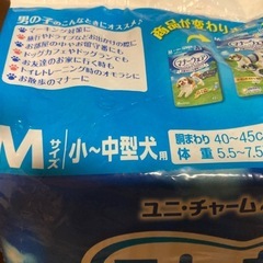 小型犬中型犬男の子用おしっこ専用紙オムツの画像