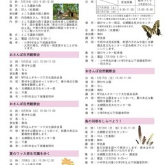 自然観察会行きませんか
