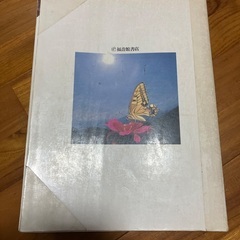 値下げ可能！！　蛾蝶記の画像
