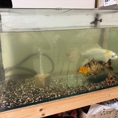 GEX 900水槽 セット